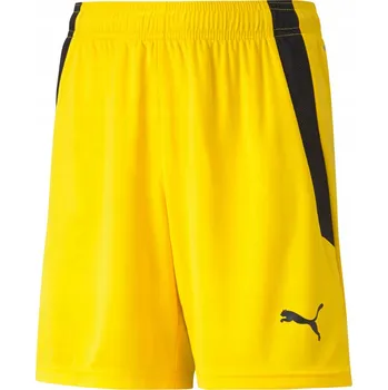 Pánské kraťasy Dětské Kraťasy PUMA teamLIGA Krátké Sportovní Letní WF vel. 140