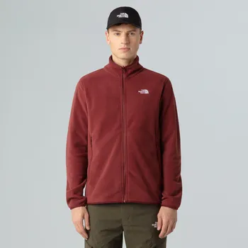 Pánská móda The North Face PÁNSKÁ FLÍSOVÁ MIKINA GLACIER