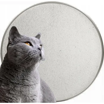 Podestýlka pro kočku Písek Stelivo Pro Kočky do kočičí toalety přírodní 10 kg bezpečný suchý světlý