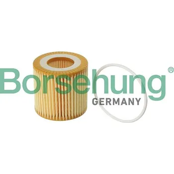 Olejový filtr Olejový filtr Borsehung B12219
