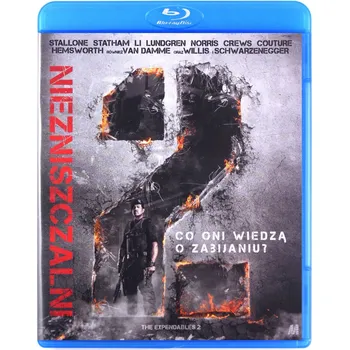 NIEZNISZCZALNI 2 Blu-ray disk