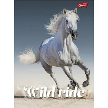 Sešit Sešit A5 linkovaný Unipap 80 listů