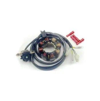 Osvětlení pro motocykl ELECTREX vinutí alternátoru (stator) se světly HONDA CRF 450 02-09, CRF 250 04-09 (CRF250R,CRF450R) (ELECTREX vinutí alternátoru (stator) se světly HONDA CRF 450 02-09, CRF 250 04-09 (CRF250R,CRF450R))