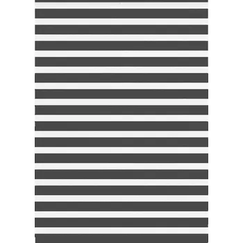 Roleta vidaXL Zebra roleta černá 165x200 cm šířka látky 160,9 cm polyester