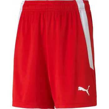 Pánské kraťasy Kalhoty Puma Teamliga 70493101