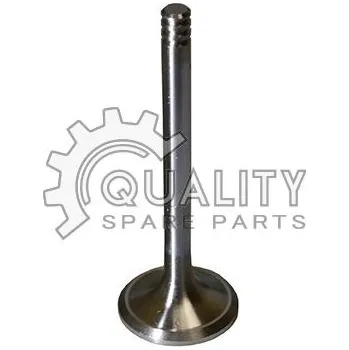 Ventil motoru Sací ventil BGA V331033