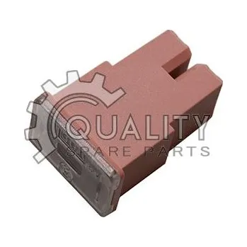 Auto-moto Pojistka TESLA FJ08.030.001