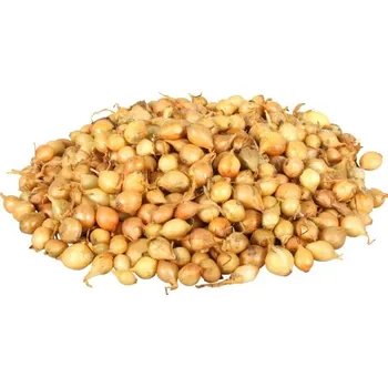 Semeno Nohel Cibule Sazečka Stuttgarter 250g