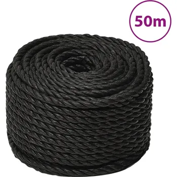 Sport Pracovní lano černé 10 mm 50 m polypropylen - 8720287132189