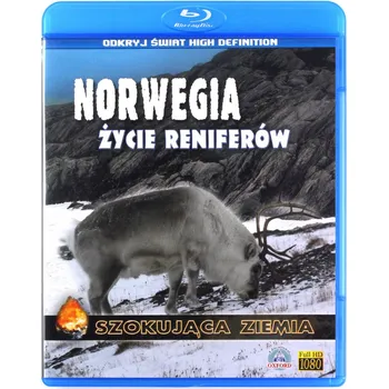 Blu-ray film Szokująca Ziemia: Norwegia. Życie reniferów Blu-ray disk