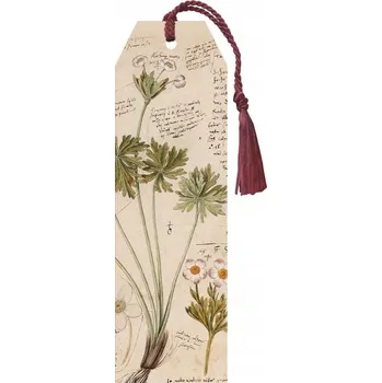 Obraz Záložka 88 se stuhou Anno 1550