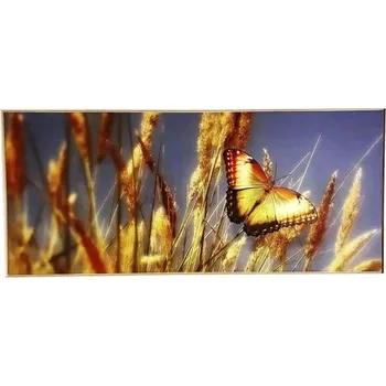 Obraz Obraz v rámu SHADOW 59x134 cm Butterfly
