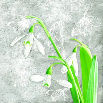 Papírový kapesník Pol-Mak Ubrousky DAISY L (20ks) Delicate Snowdrops on Concrete 615800