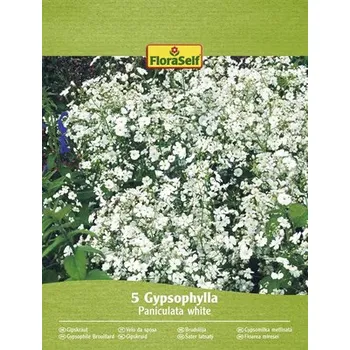 Semeno Šater latnatý FloraSelf Gypsophylla paniculata 5 ks bílý