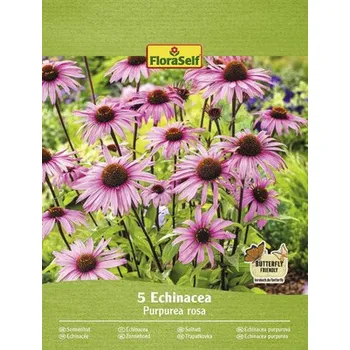 Semeno Třapatka nachová FloraSelf Echinacea 'Purpurea rosa' 5 ks