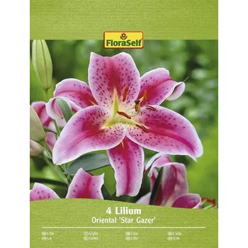 Semeno Lilie FloraSelf Oriental 'Star Gazer' 4 ks