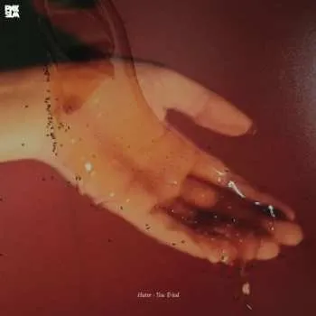 Zahraniční hudba CD Hater: You Tried 2017