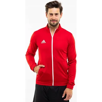 Pánská mikina Pánská mikina Adidas Entrada 22 velikost L
