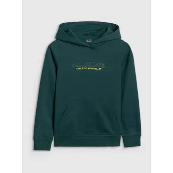 Chlapecká mikina Dětská mikina 4F bavlna velikost 122