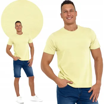 Pánské tričko PÁNSKÉ BAVLNĚNÉ TRIČKO S KRÁTKÝM RUKÁVEM BAVLNA BEZ VZORU MORAJ M