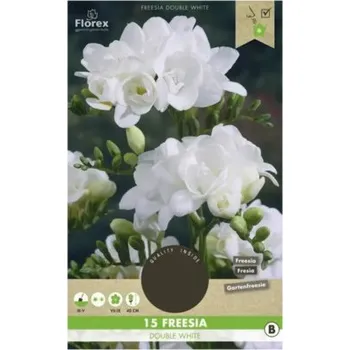 Cibulovina Frézie plnokvěté Florex bílé 15 ks