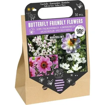 Cibulovina Cibuloviny směs 'Květiny přívětivé k motýlům Marisposa' 30 ks