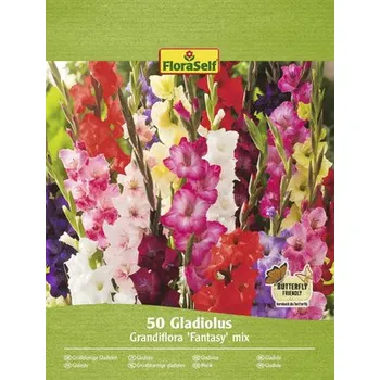 Semeno FloraSelf Mečíky velkokvěté Fantasy 50 ks