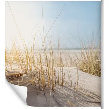 Fototapeta Fototapeta písečné duny, písek a rostliny do obýváku 60x90