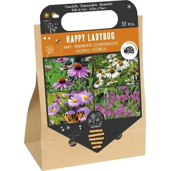 Semeno Cibuloviny 'Květiny přívětivé ke slunéčkům sedmitečným' 30 ks