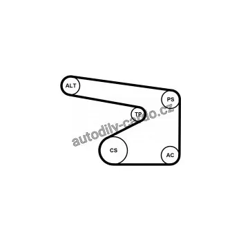 Rozvod motoru Sada drážkového řemene a vodní pumpy CONTINENTAL CTAM 5PK1355WP3