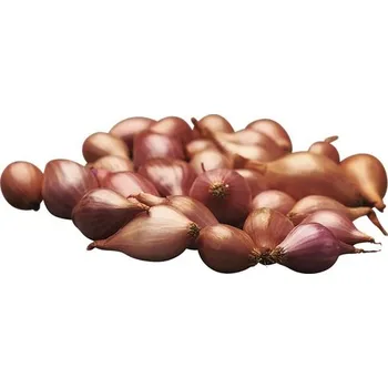 Semeno Cibule sazečka ROSANNA růžová 500 g 8-16 mm