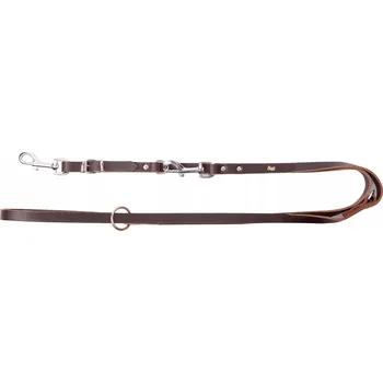 Vodítko pro psa Tradiční kožené Vodítko Dingo 2 m