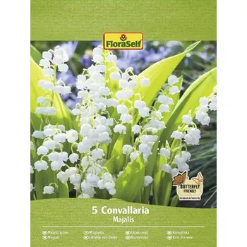 Semeno Konvalinka vonná FloraSelf Convallaria majalis 5 ks