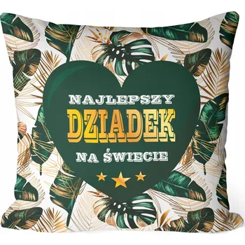 Polštář Polštář Sublix z mikrovlákna 35x35 cm s potiskem Den dědečka