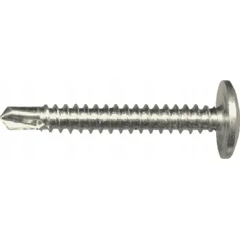 Šroub 1KG SAMOVRTNÝ ŠROUB S PODLOŽKOVOU HLAVOU WHD 4.2*19MM