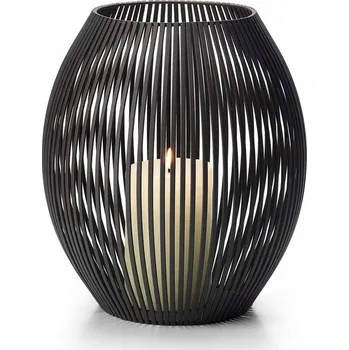 Obraz Lucerna Luisiana L Philippi