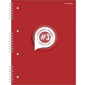 Sešit Sešit A4 s mřížkou TOP-2000, 100 listů