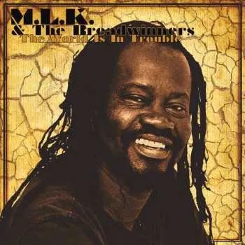 Zahraniční hudba LP The Breadwinners: The World Is In Trouble 2025