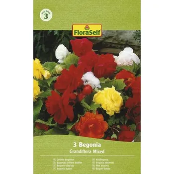 Semeno Begónie plnokvětá FloraSelf Grandiflora mix 3 ks