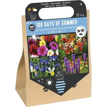 Semeno Cibuloviny směs '100denní léto' 50 ks