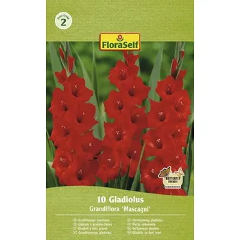 Semeno Mečíky FloraSelf 'Mascagni' 10 ks