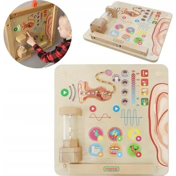 Obraz MASTERKIDZ Vzdělávací tabule – Smysl sluchu