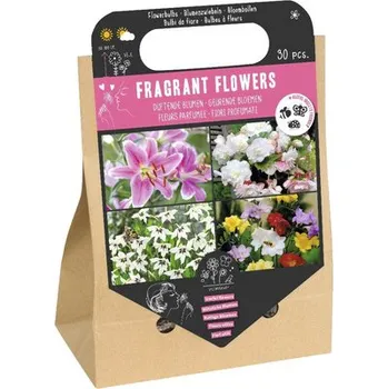 Cibulovina Cibuloviny směs Vonné květiny