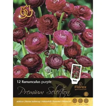 Cibulovina Pryskyřník Florex Premium Selection Ranunculus 'Purple' 12 ks