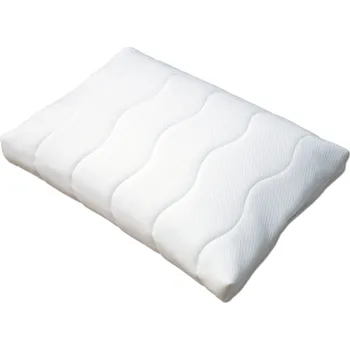 Polštář Dřevočal Polštář Lukáš Rozměry: 55 x 40 x 13, Potah: Aloe Vera