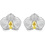 Elenys stříbrné pozlacené náušnice Orchidej 18K bílé zlato