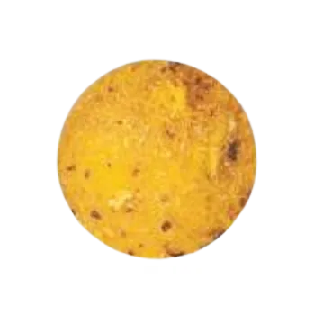 Boilies Traper Boilies Ultra 100g - 16mm Příchuť: Ananas