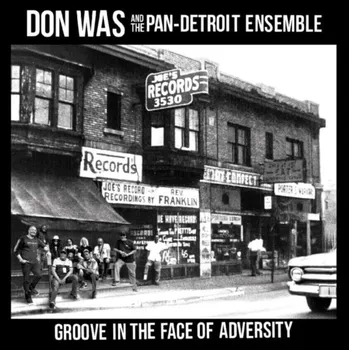 Zahraniční hudba Don Was - Groove In The Face Of Adversity (180 g) (LP)