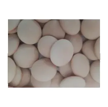 SALAČ Piškoty STŘEDNÍ pro psy 16kg