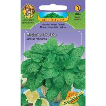 Semeno Nohel Garden Meduňka lékařská